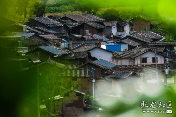 男朋友又抛弃我跟前妻复婚怎么办?-智能问答社区