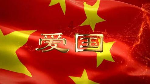 动物帮帮忙保卫家园
